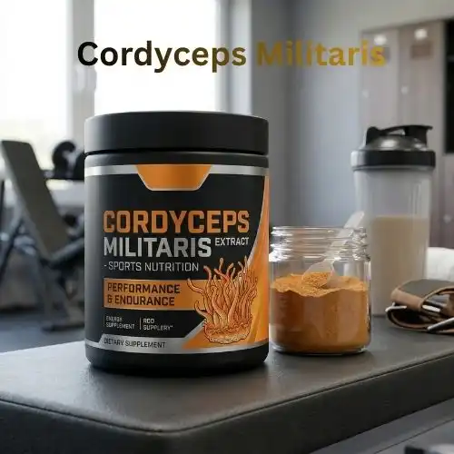 Why Choose Cordyceps Militaris Extract for Sports Nutrition